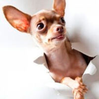 Надя Кондратенко