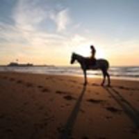 Островская Анна