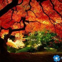 Сунгатуллина Рита