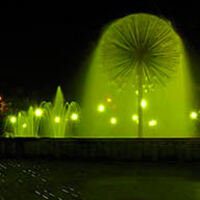 Тоня Бакута