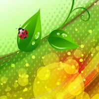 Зоя Семикова