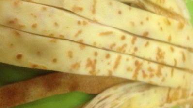 блины, запеченные в белковой пене