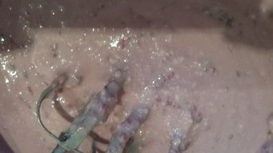 королевская малиновая ватрушка в мультиварке