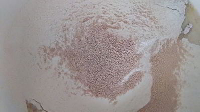 закусочные булочки с отрубями и горчицей