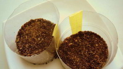 мини-чизкейки с черникой