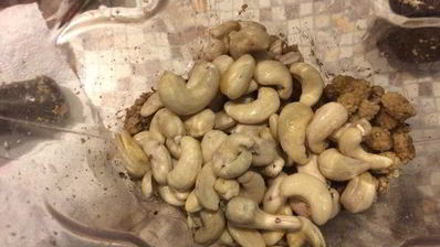 веганский чизкейк радуга