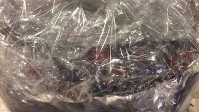 веганский чизкейк радуга