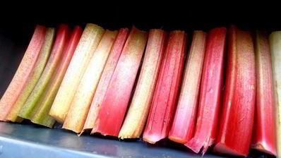 кекс в карамели на подушке из ревеня