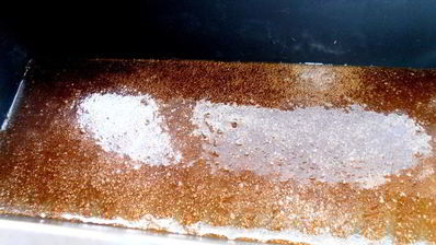 кекс в карамели на подушке из ревеня