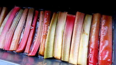 кекс в карамели на подушке из ревеня