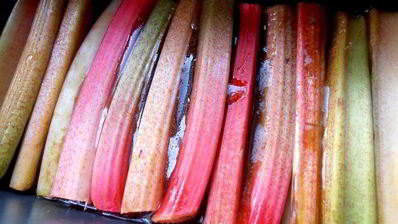 кекс в карамели на подушке из ревеня