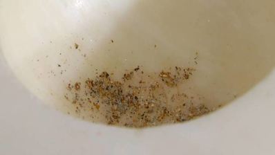 кофейный кекс на солоде