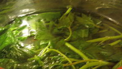 хлеб с крапивой