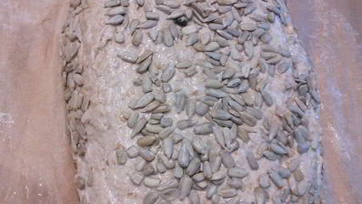 цельнозерновой спельтовый хлеб на кефире