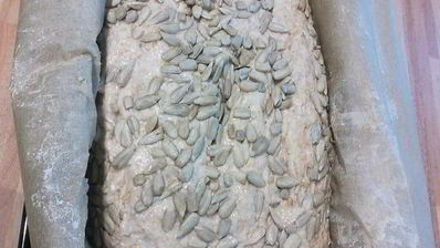 цельнозерновой спельтовый хлеб на кефире