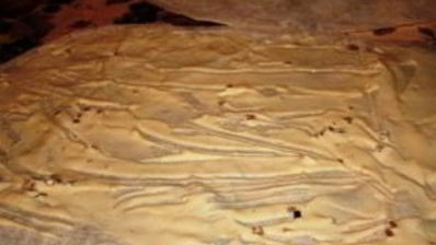 лаваш с сайрой