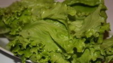 лаваш с тунцом