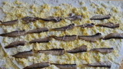 лаваш со шпротами