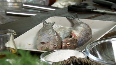 запеченный сиг с грибной лепешкой