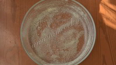 манник на кефире с творогом