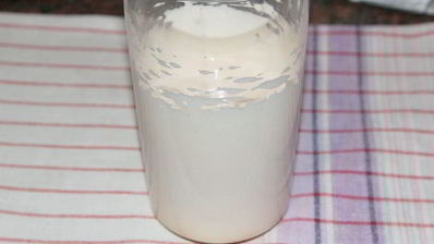 манник обыкновенный