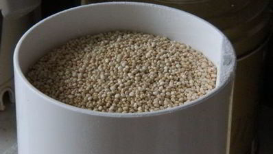 оладушки из квиноа и кукурузной муки без глютена