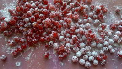 оладьи дрожжевые с красной смородиной