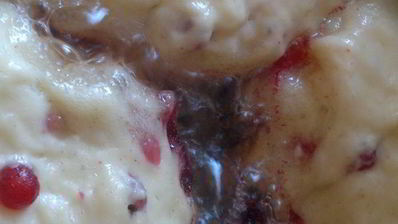 оладьи дрожжевые с красной смородиной