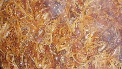 оладьи капустные с черным перцем