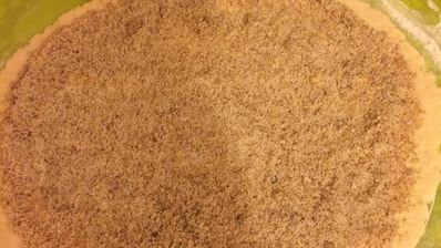 ореховый рулет