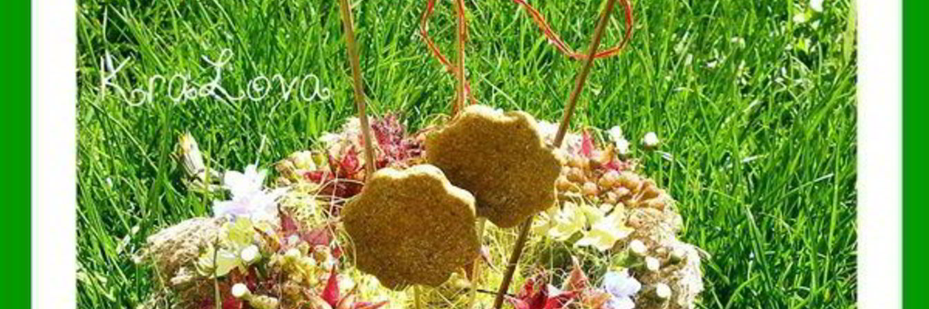 Чесночно-укропное печенье из цельнозерновой муки