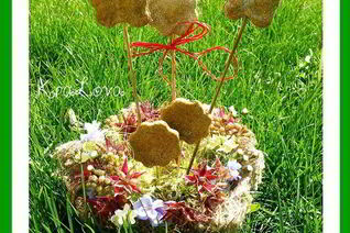 Чесночно-укропное печенье из цельнозерновой муки