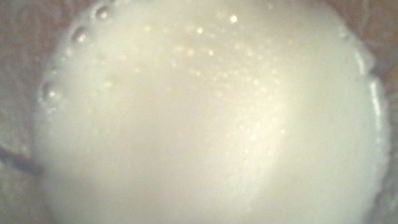 печенье галиюша