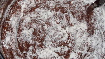 печенье шоколадные извилины