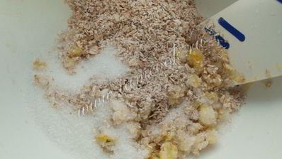 постное лимонное печенье с овсяными хлопьями