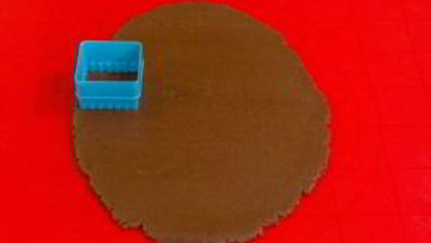 шоколадное печенье