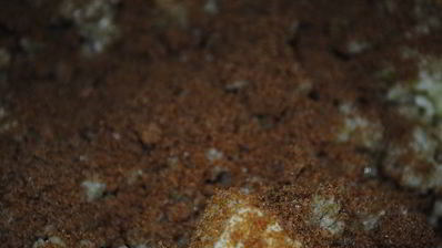 манный пирог с яблоками детство