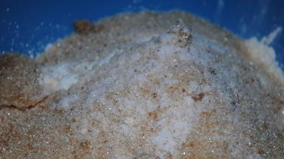 манный пирог с яблоками детство