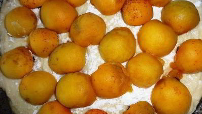 пирог с абрикосами и черешней