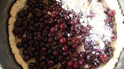 постный ягодный пирог с крошкой