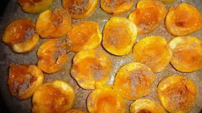 ржаной пирог с абрикосами