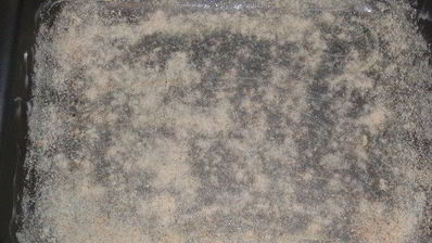 сицилийский картофельный пирог