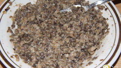 блинчатые пирожки с грибами улитки