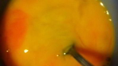 брауни с темным пивом и малиной