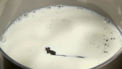 пирожное фрамбуазье