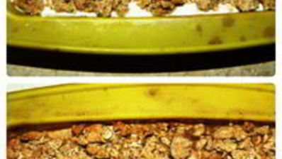 пирожное из овсянки с яблоком и йогуртом