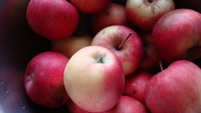 яблочные пирожные