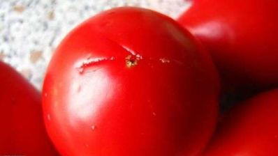 молниеносная пицца