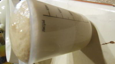 пицца с моцареллой и помидорами