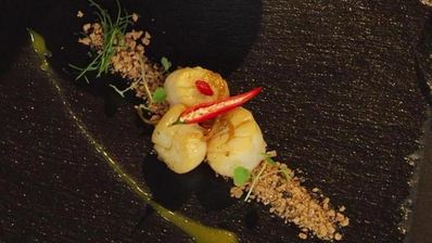 морской гребешок на прянике с мандариновым кремом